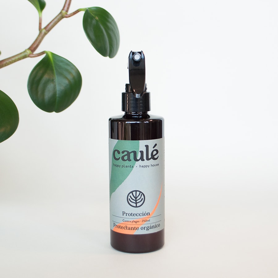 Insecticida Preventivo "Protección"